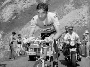 Eddy-Merckx_300 Eddy Merckx - kongen af de store etapeløb