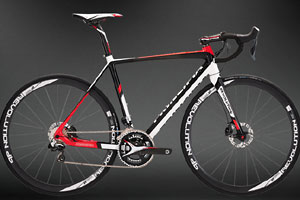 Principia cykler