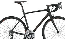 Scott-Solace-250 Scott Solace